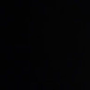 Meet your Posher, Terry